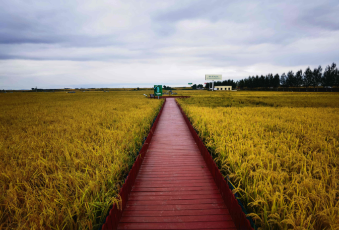 1631930270358436.png image.png