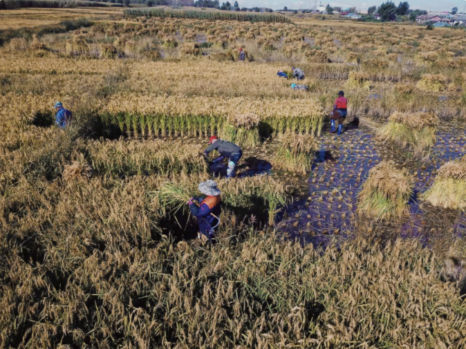 1632622283693845.png image.png