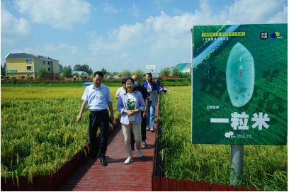 1632644082576458.png image.png