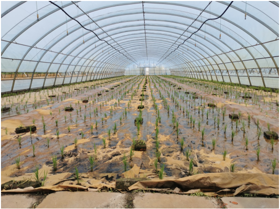 1632644164305387.png image.png