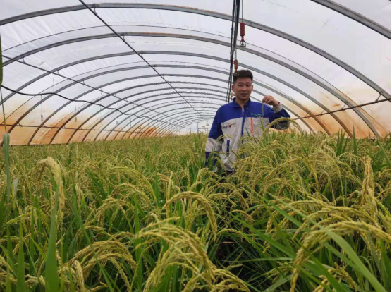 1632644185831822.png image.png