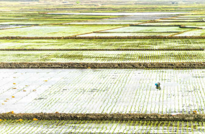 1633920007133039.png image.png