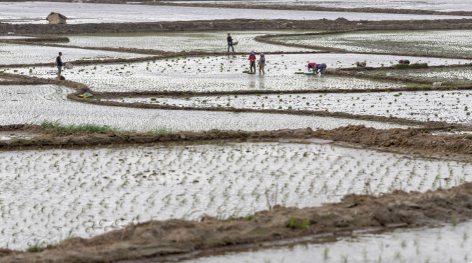 1633920062210710.png image.png