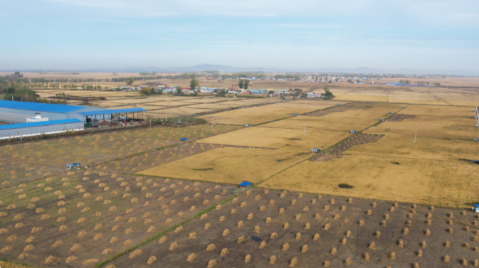 1633920227540087.png image.png