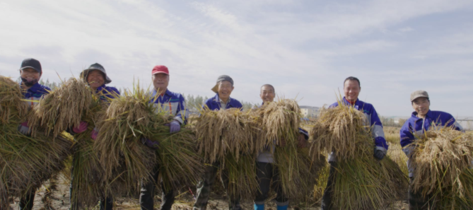 1633920247719390.png image.png