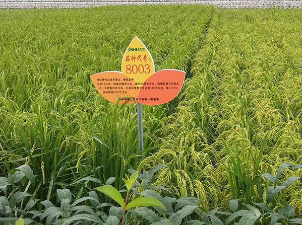 1637910123328069.png image.png