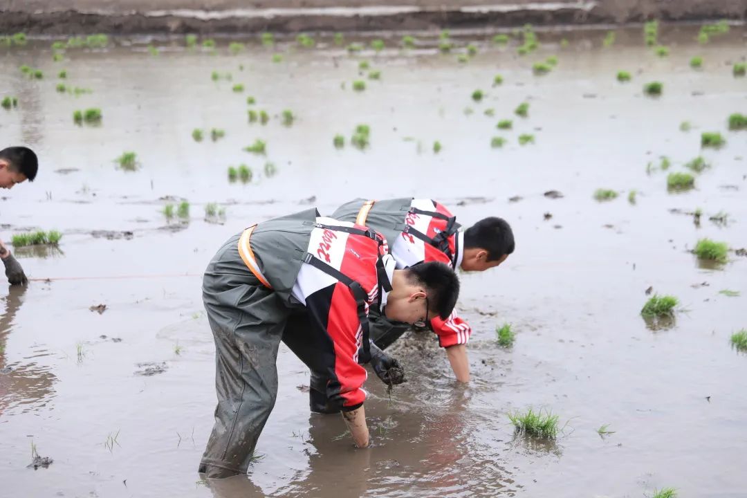 1687240161843855.jpg 640.jpg