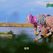 1687240558298368.gif 640.gif